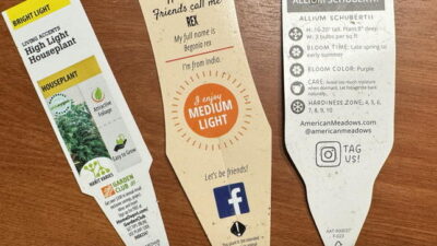 Houseplant information tags