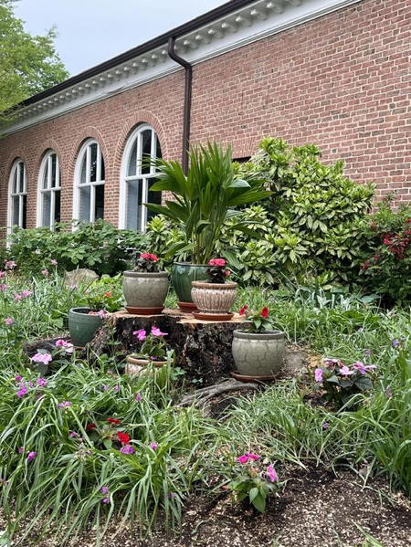 Stump decorated with container plants