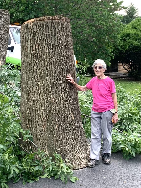 Judy with maple tree