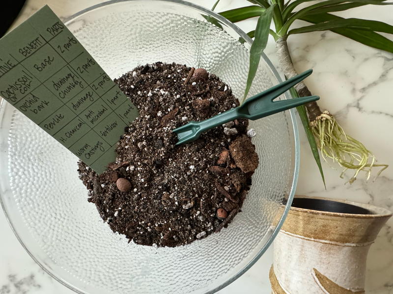 Soil mix and plant cutting ready to repot