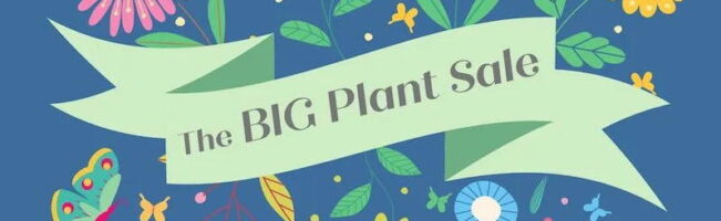 The big plant sale