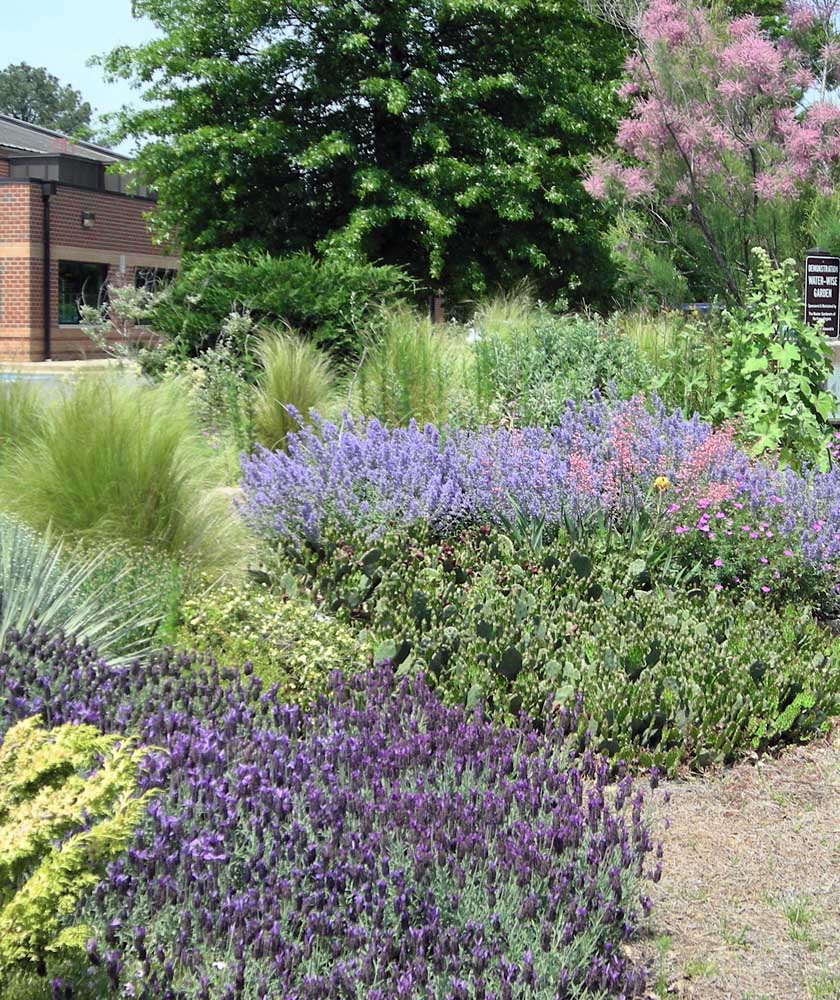 Pastel colors adorn the Water-wise Garden at Simpson Park in May 2011.