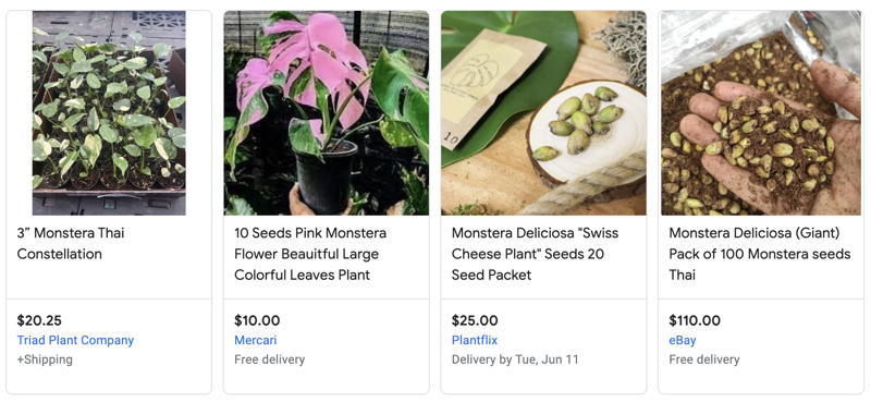 screenshot of search for seeds