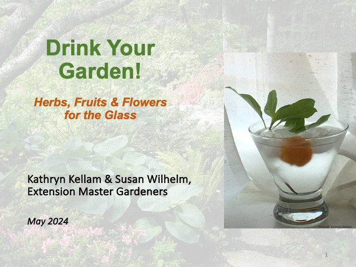 Drink your gqrden title slide