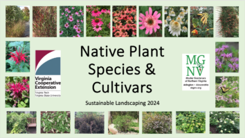 Native plant species and cultivars title slide