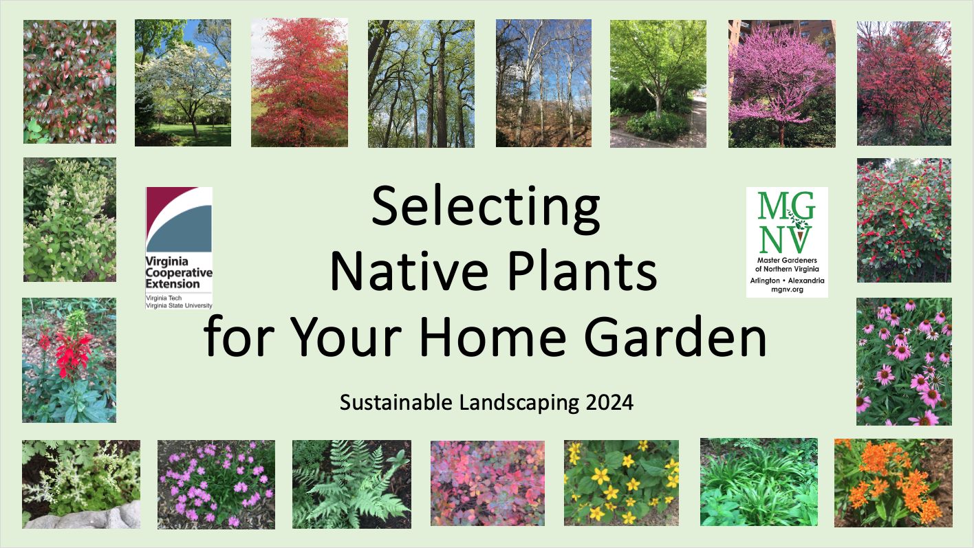 Selecting Native Plnats for your home garden