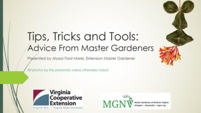 Tips, Tricks, and Tools cover slide