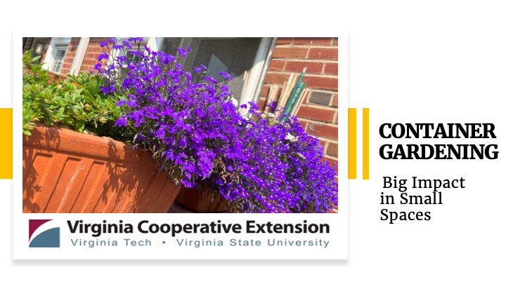 Container Gardening Title Slide
