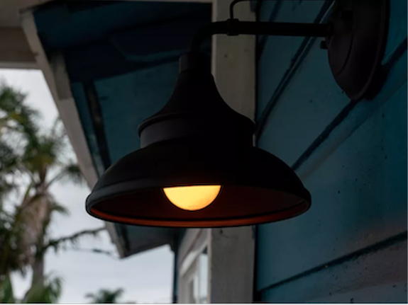 Shielded lighting with yellow LED bulb
