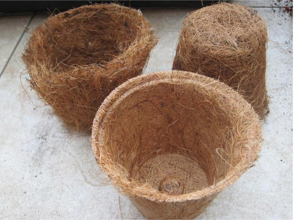 Coconut fiber (coir) pots 
