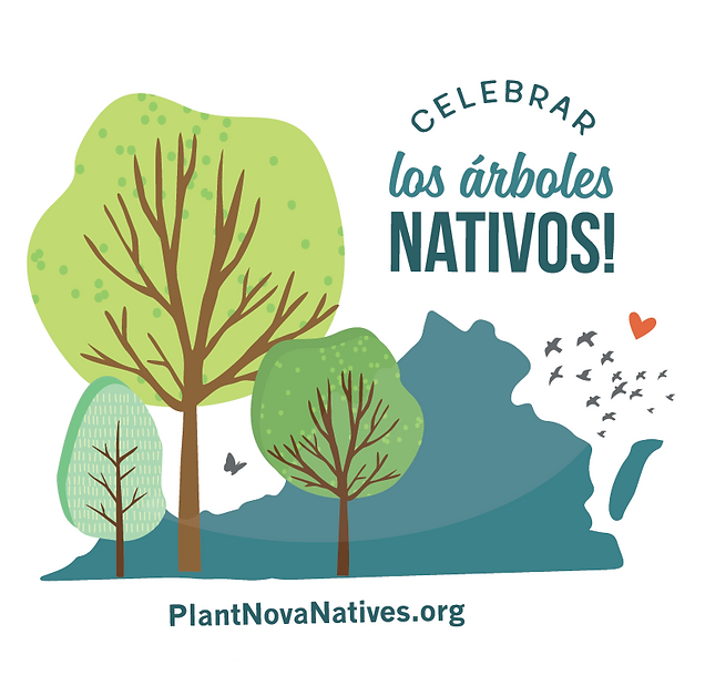 celebrar los arboles nativos