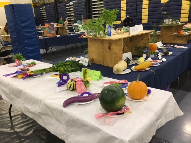 Veggie Winners