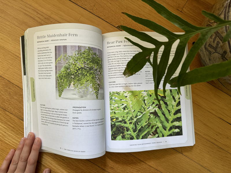The Complete Book of Ferns by Mobee Weinstein