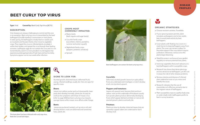 The Vegetable Garden Problem Solving Handbook beet disease