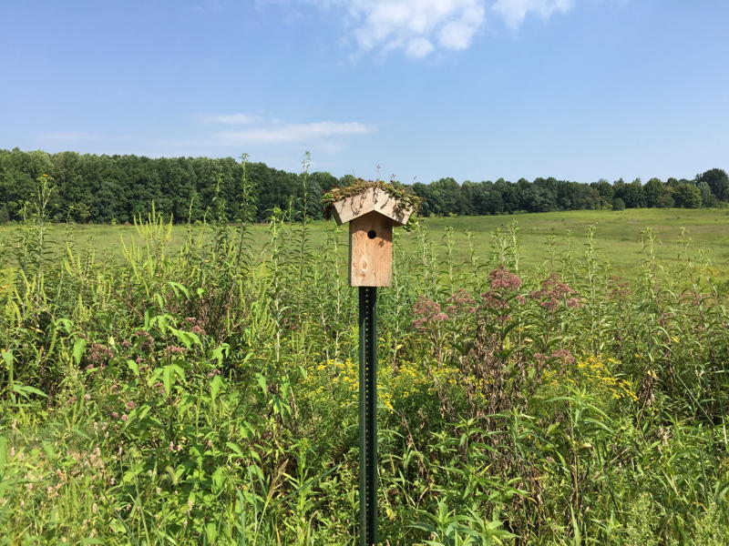 Birdhouse in meadow at Longwood Gardens