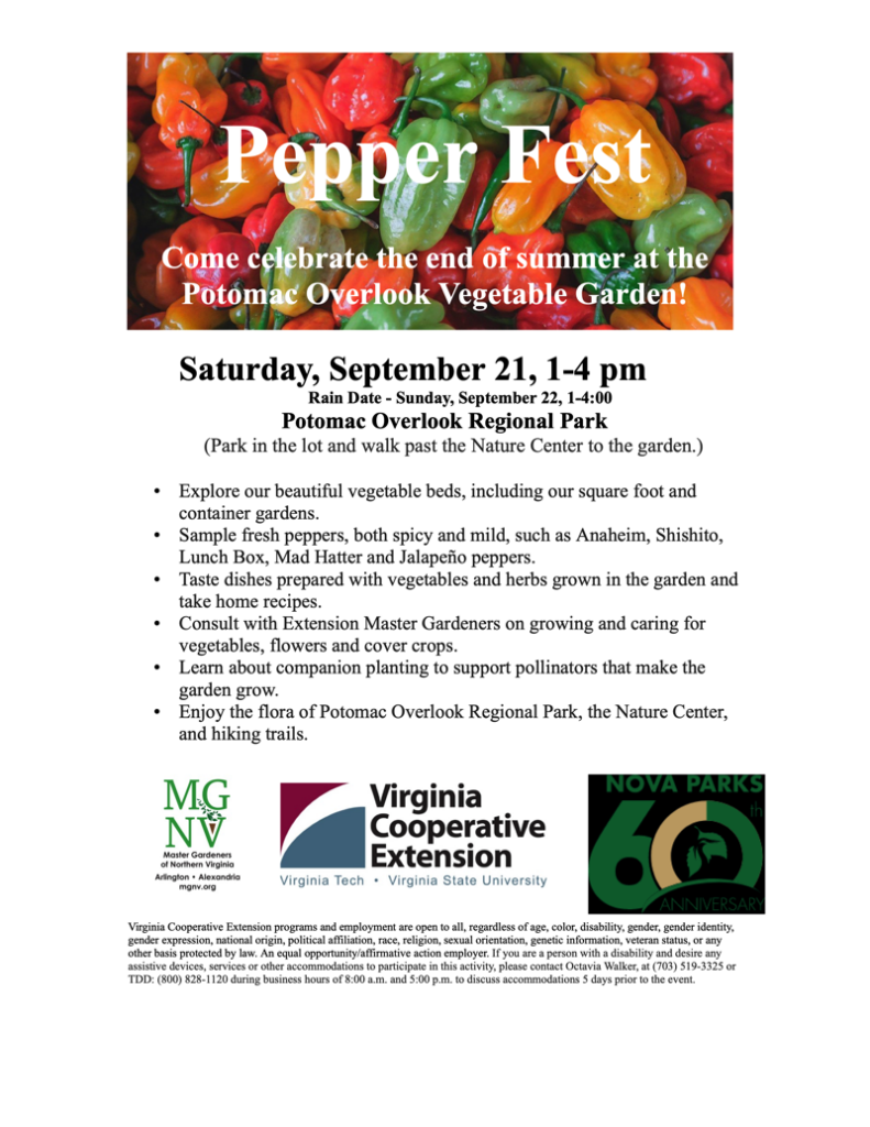 Pepper fest flyer