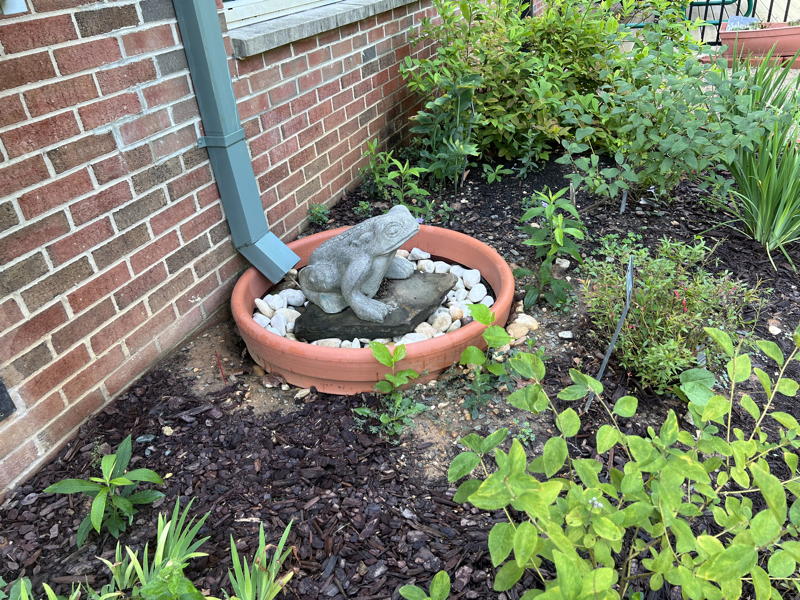Dry well with frog