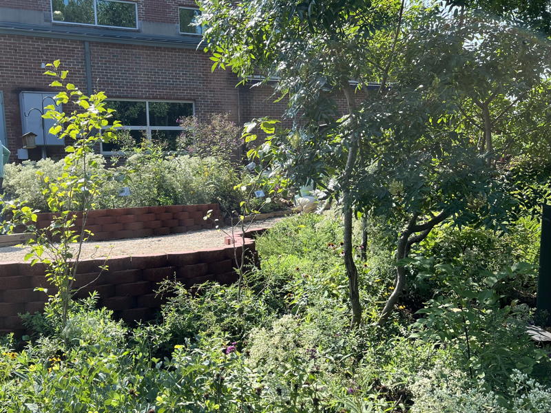 Terraced levels of the garden were built with keystone bricks and then walkways were covered in pea gravel