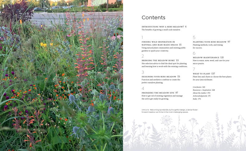 Tiny & wild table of contents two page spread
