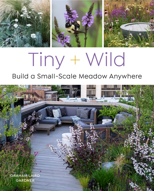 Tiny & Wild Book Jacket
