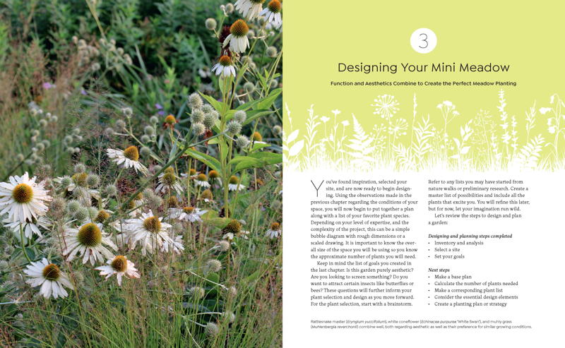 Tiny & Wild two page spread on mini-meadows