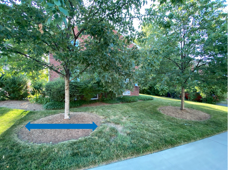 Mulched trees