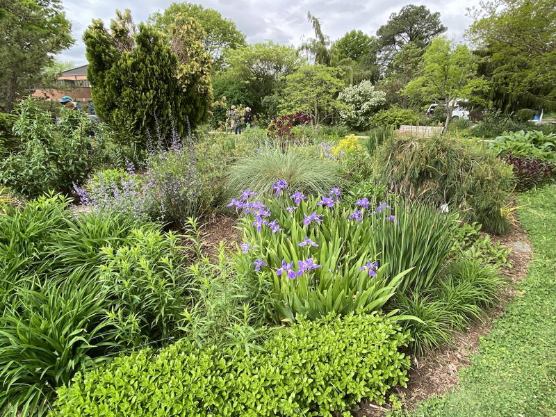 Berm at Simpson Gardens