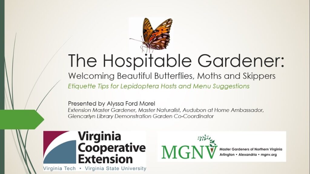 The Hospitable Gardener: Welcoming Butterflies