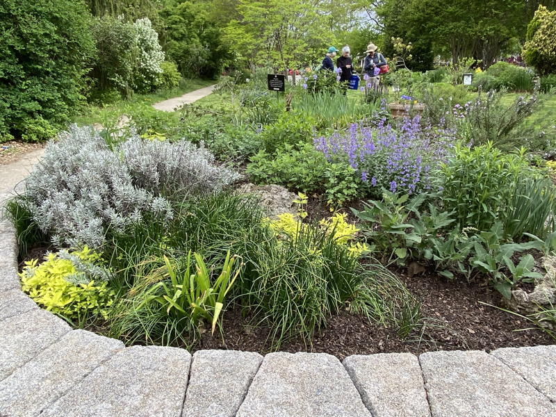 flower bed with pavers in front
