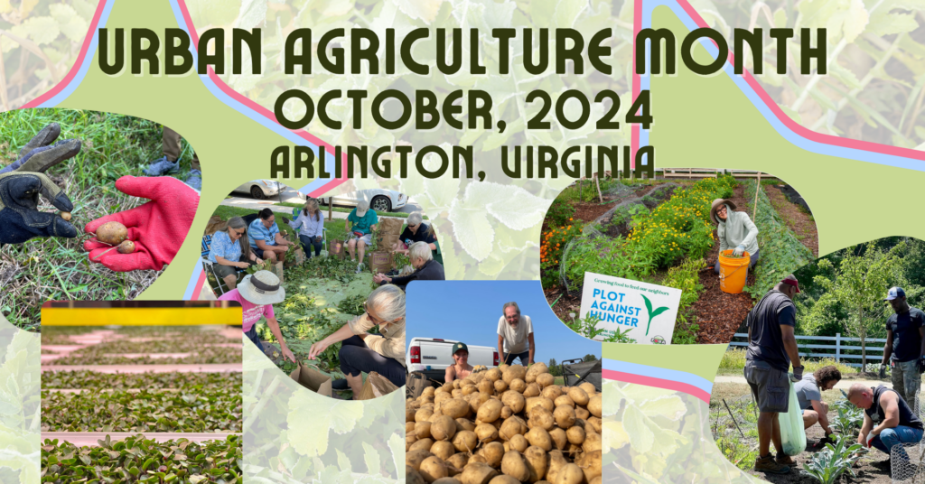 Urban Agriculture Month October 2024
