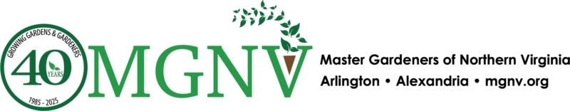 40th Anniversary MGNV logo