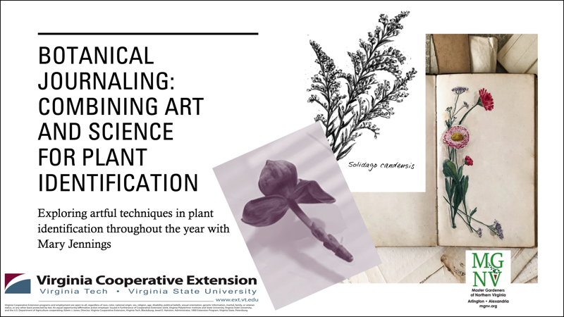 Botanical Journaling Combining Art and Science for Plant Identification