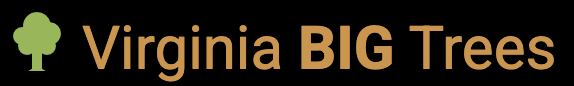 Virginia BIG Trees logo