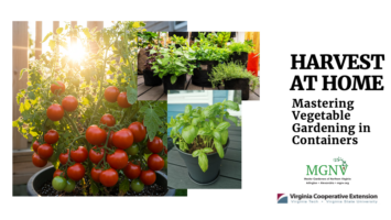 Harvest at Home Cover Slide