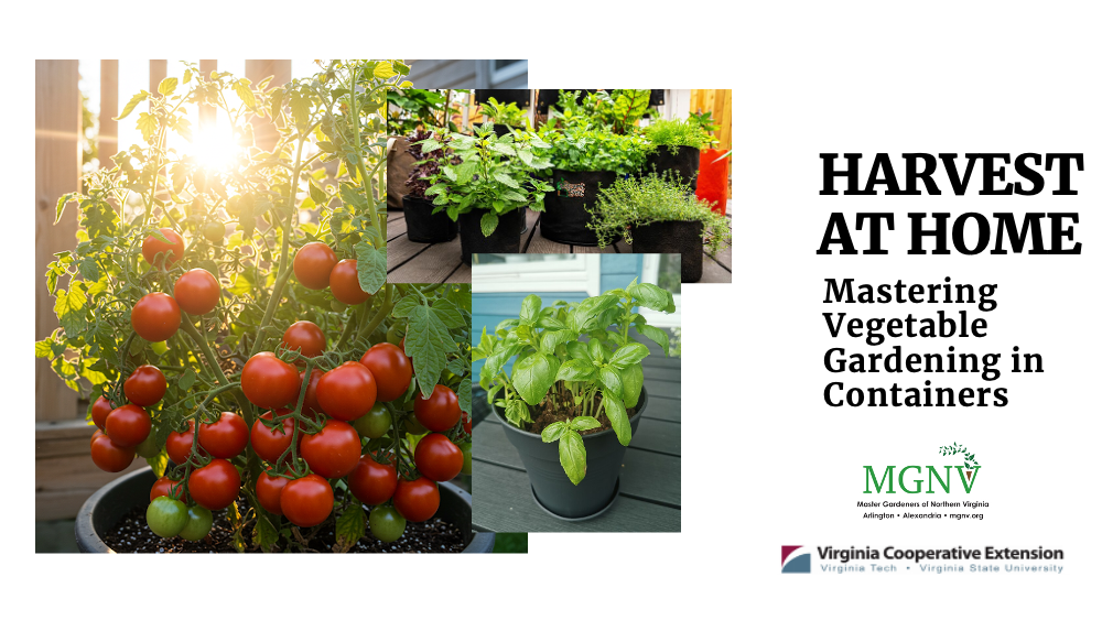 Harvest at Home Cover Slide