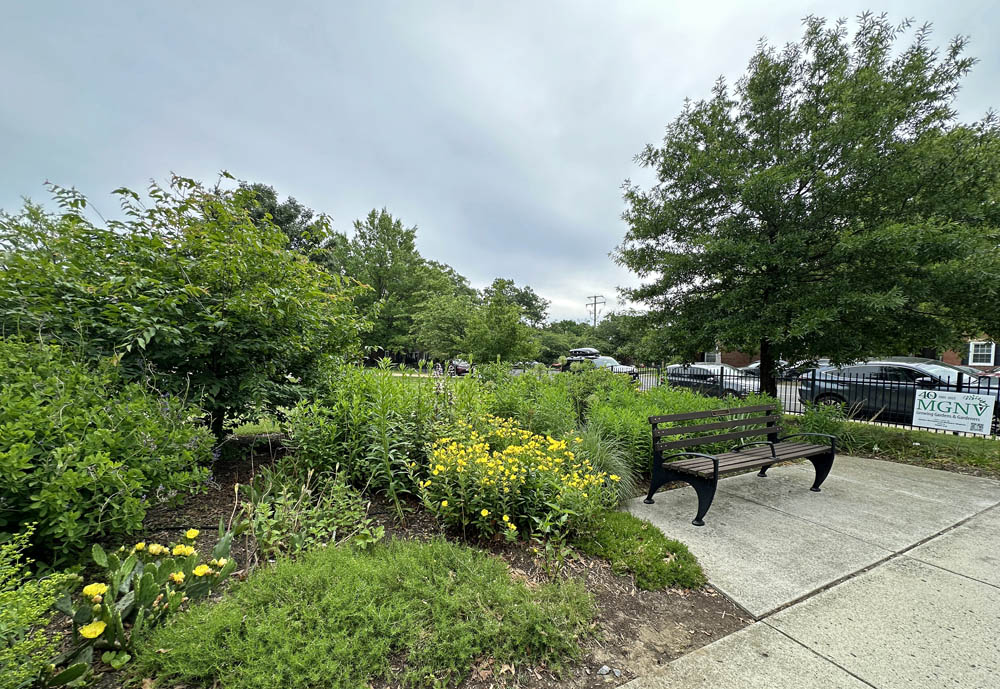 MG Tribute Garden in late May 2025.