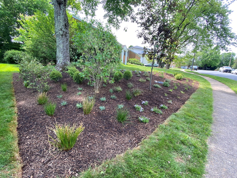 Turf grass used as edging for flower beds.