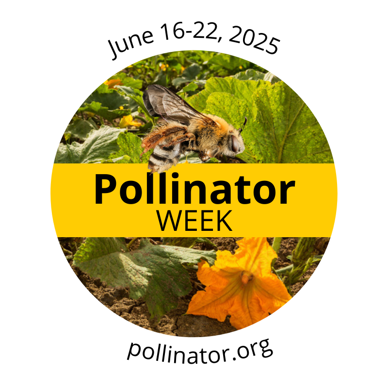 Logo for Pollinator Week featuring a bee and a floral background, with the text 'Pollinator WEEK' in bold yellow.