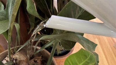 Carrying a small watering can to your plants is an accessible way to water, but can be time consuming.