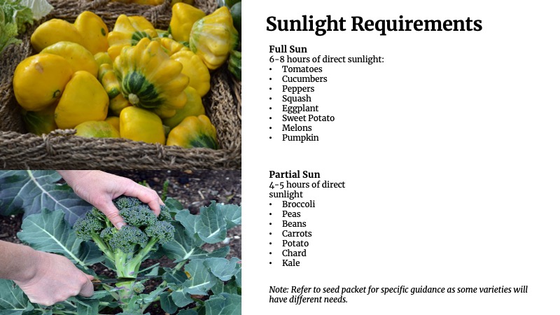 Sunlight Requirements - Full Sun and Partial Sun