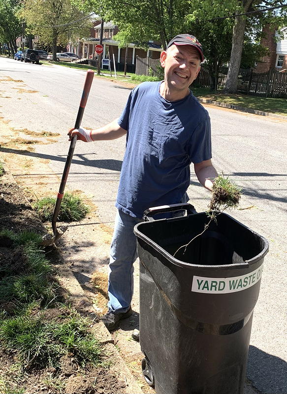 Weedy sod goes in county yard waste bin.