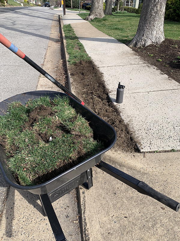 wheelbarrow full of sod