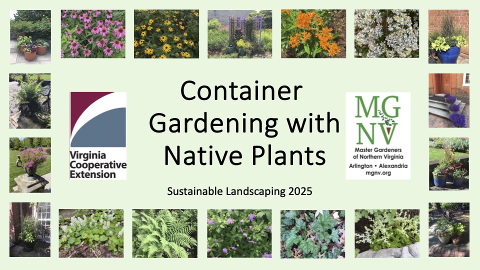 Container Gardening with Native Plants cover slide