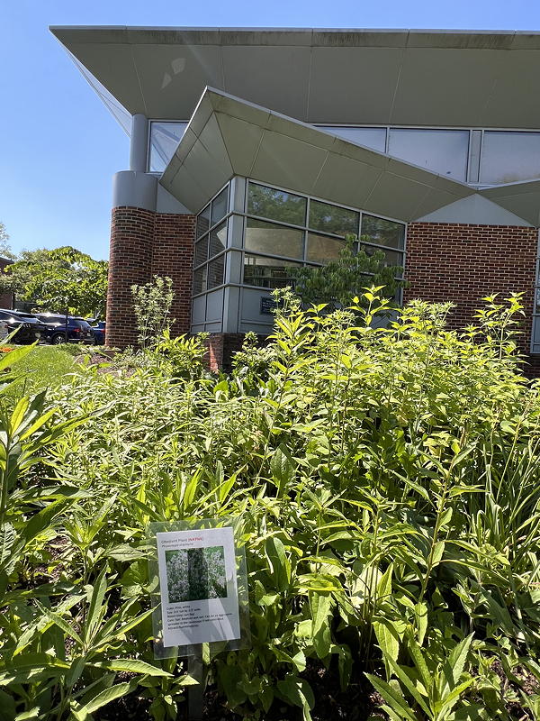Duncan Library with garden in front
