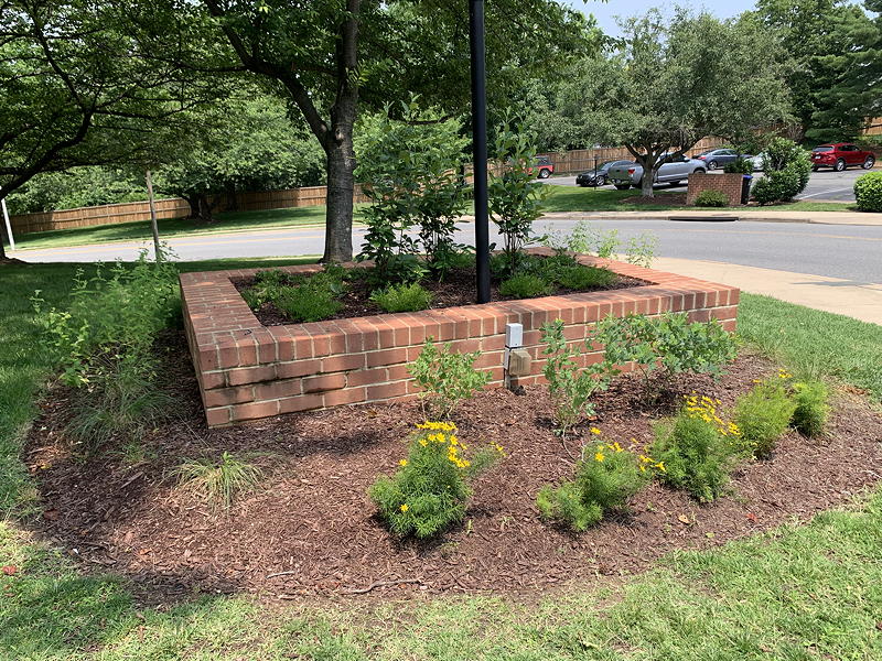 A focal plant bed redesigned to include only native plants