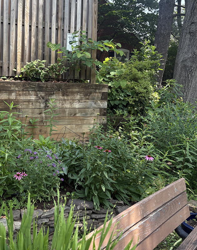 Monarch waystation