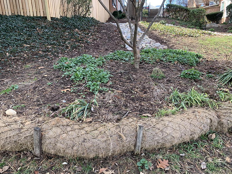 Coir log retaining wall