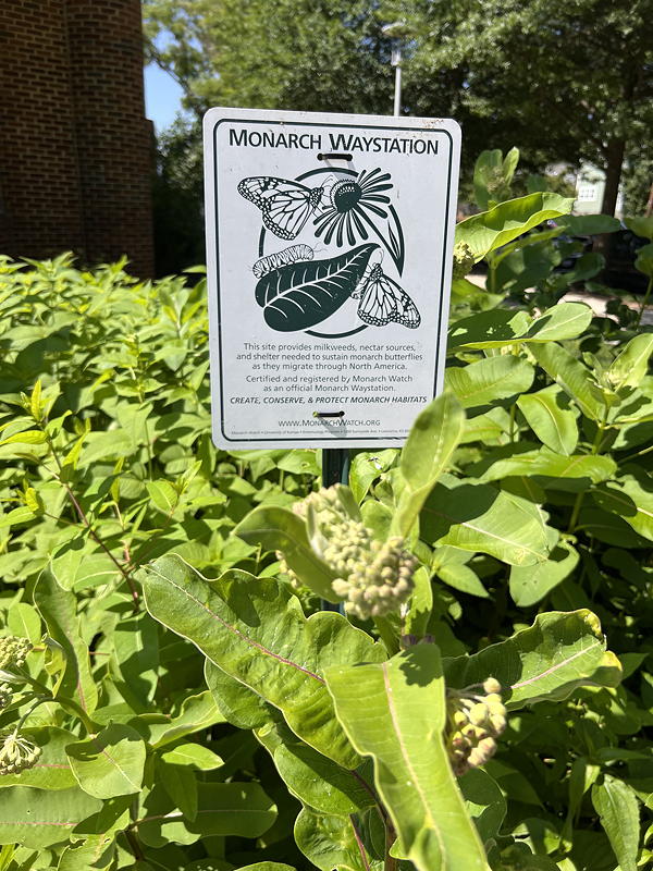 Monarch Waystation sign