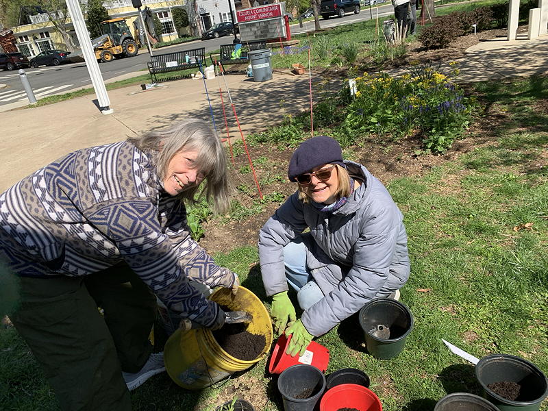 EMGs Sue McGiver and Denise Dieter potting up plants for the Greenspring plant sale.