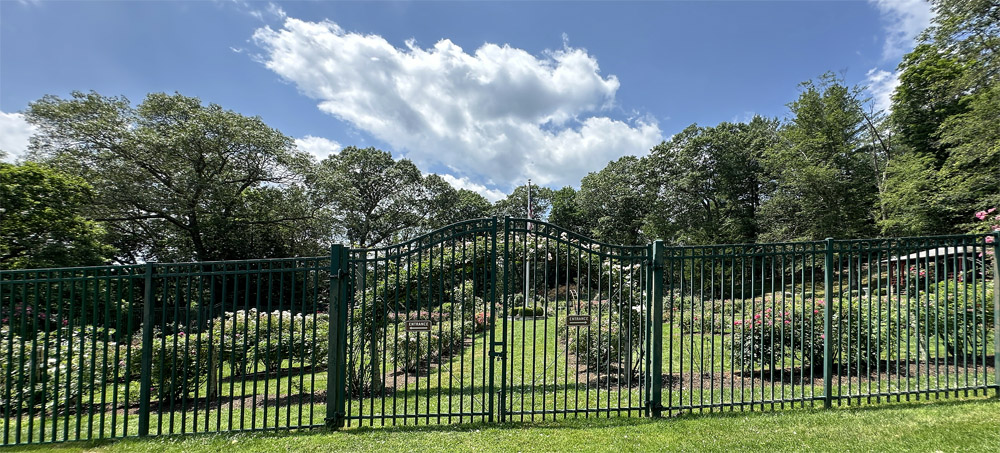 Entrance to the Veterans Memorial Rose Garden in Norwich, Connecticut. A covered  pavilion (visible to the right) overlooks the June blooms.